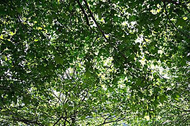 Steam Deck现已原生支持商店前百名游戏中的80%