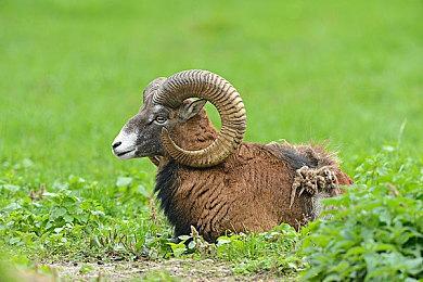 《潜行者2》XSX灾难表现：某个场景卡住长达6秒 帧数为0