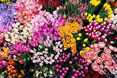 动作游戏《精灵旅社：恐怖童话冒险》3月全平台发售